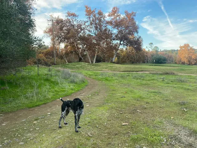 Dog Park Chico Canyon Trailhead Chico
