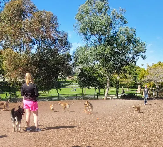 Dog Park Ward Canyon Dog Park San Diego