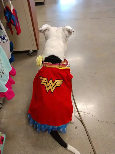 Dog breeder PetSmart Los Angeles