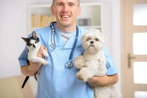 Pet vet Veterinarian Garden Care Torrance