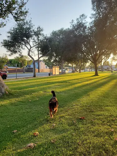 Dog Park Los Altos Park Carson