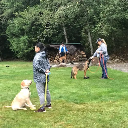 Dog trainer Audax K9 Academy Kent