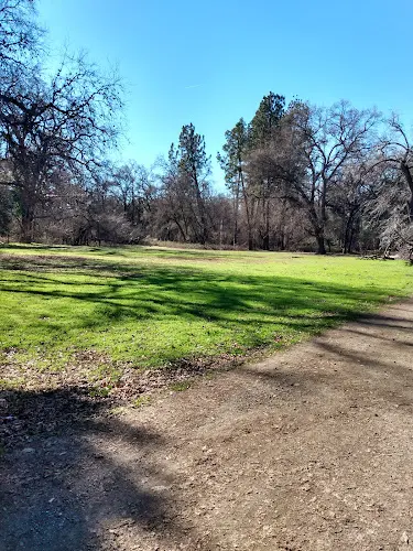 Dog Park Lower Bidwell Park Chico