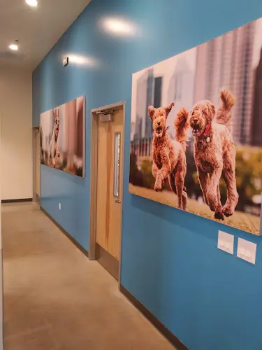Pet vet Vetco Total Care San Bernardino