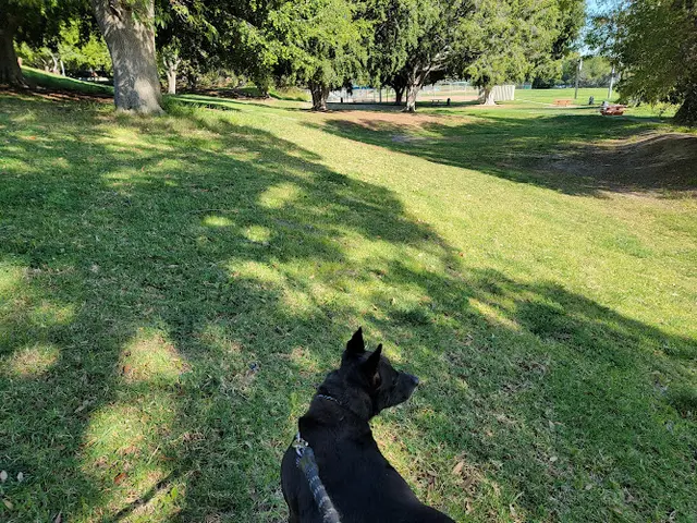 Dog Park Peck Park South Gate