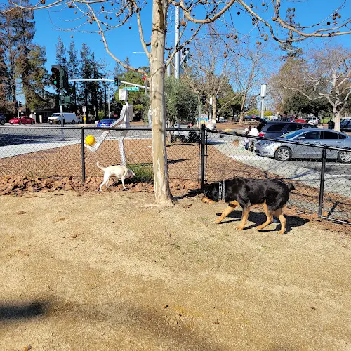 Dog Park Fair Oaks Dog Park Santa Clara