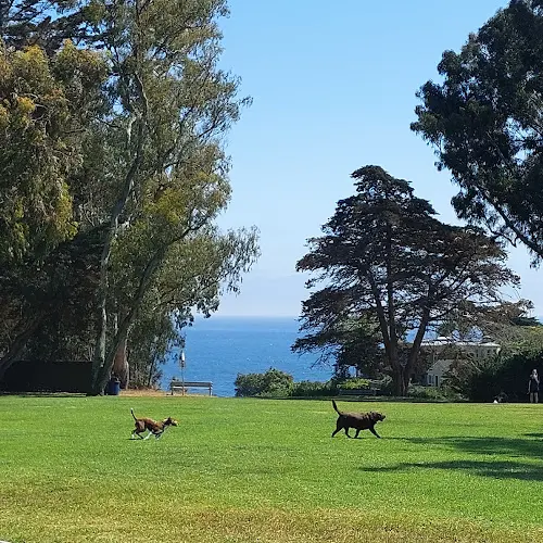 Dog Park La Mesa Park Santa Barbara