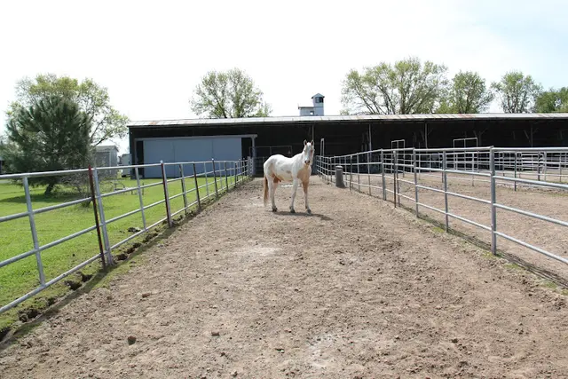 Pet boarding service Central Stables - Horse Boarding Roseville, CA Roseville