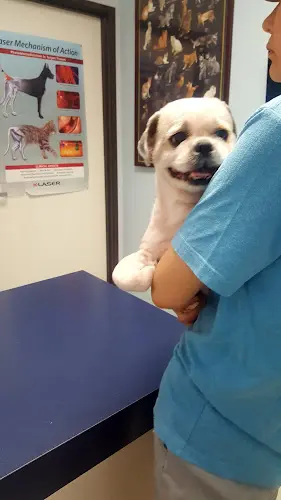 Pet vet Western Animal Hospital Los Angeles