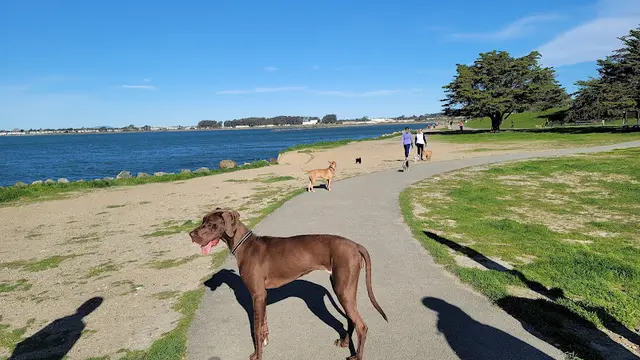Dog Park Point Isabel Regional Shoreline Richmond