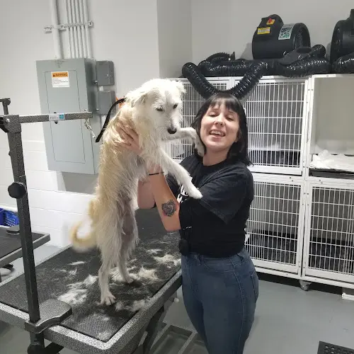 Pet boarding service Doggie Style Pets Little Italy San Diego