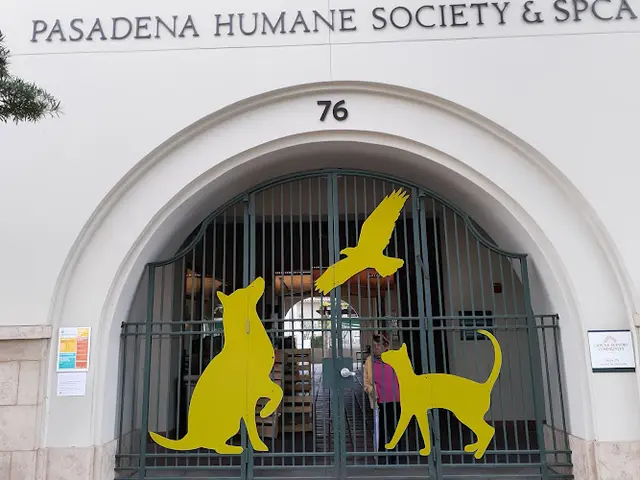 Pet vet Pasadena Humane Pasadena