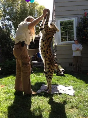Rescue & Shelter Classroom Safari Santa Rosa