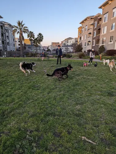 Dog Park Dog Play Area at The Landing Oakland