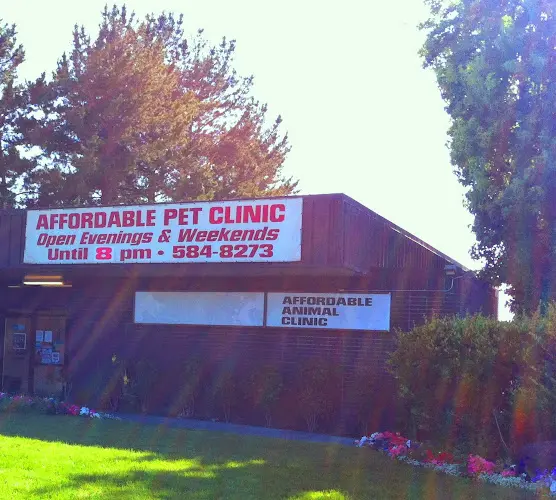 Pet vet Affordable Animal Clinic Santa Rosa
