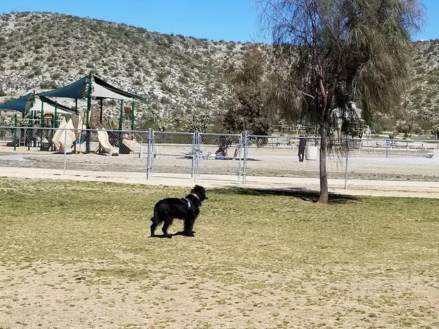 Dog Park Dog Park San Bernardino