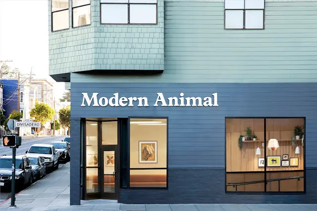 Pet boarding service Modern Animal San Francisco