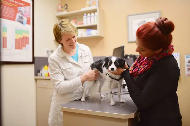 Rescue & Shelter Bishop Ranch Veterinary Center & Urgent Care San Leandro