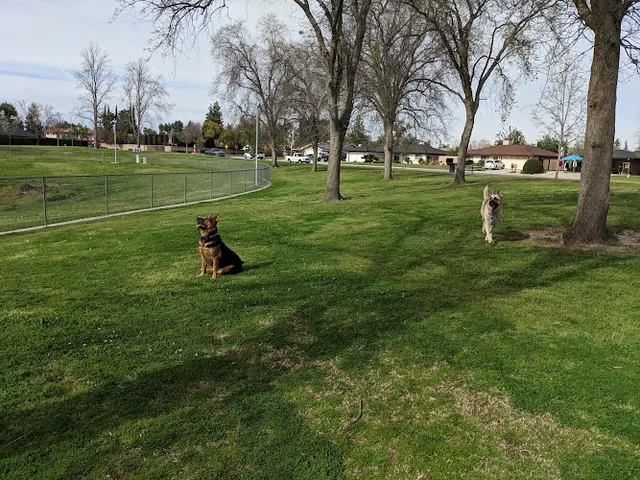 Dog Park Campus Park North Bakersfield