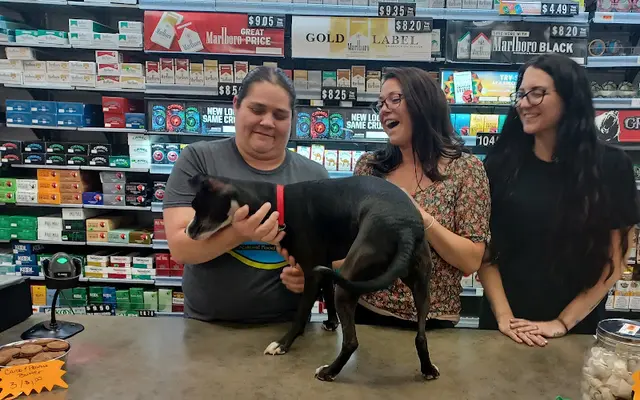 Pet boarding service Mini Pet Mart Eugene