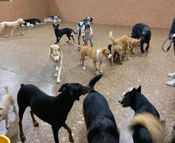 Dog breeder PawFection West Covina
