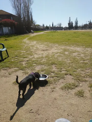 Dog Park Dog Park Daly City