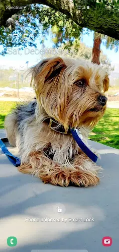 Dog breeder Petco Los Angeles