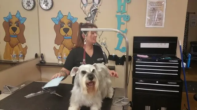 Dog day care center Temecula Pet Salon & Spa Temecula