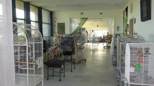 Pet boarding service San Francisco Bird Hotel San Francisco