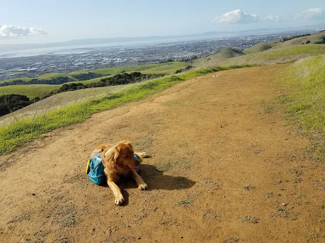 Dog Park Garin Regional Park Hayward