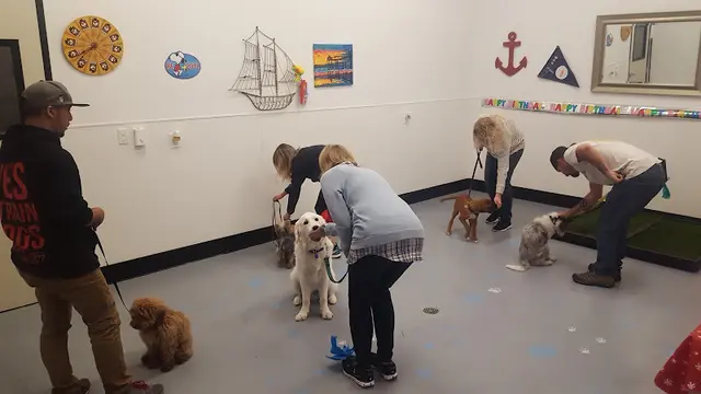 Dog breeder TOP DOG *Barkery, *Bath & *Boutique Huntington Beach