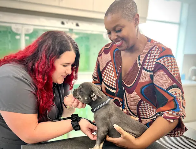 Pet vet PAW Veterinary Center Carson
