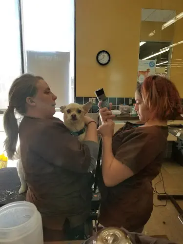 Dog breeder Petco Clovis