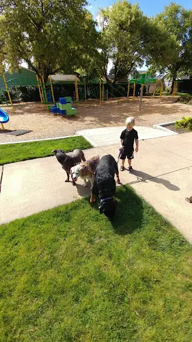 Dog walker McKinney Park Hillsboro