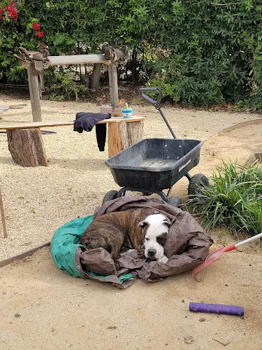 Pet boarding service Adobe Pet Hospital Santa Barbara