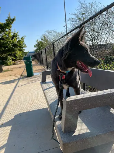 Dog Park Pacific Highlands Ranch Dog Park San Diego