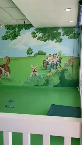 Dog day care center Paw Haven Los Angeles