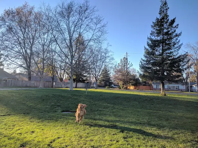 Dog Park Oak Way Park Chico
