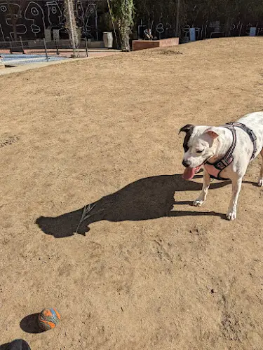 Dog Park Spring Street Park Inglewood