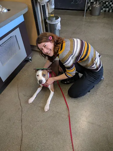 Pet vet Unleashed Simi Valley