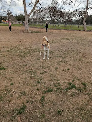 Dog Park Rohr Park Chula Vista