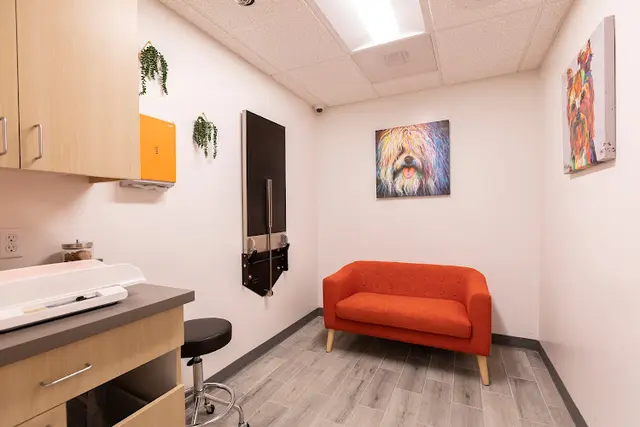 Pet vet PAW Veterinary Hospital Anaheim