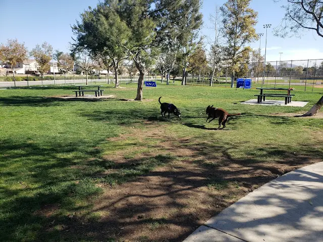Dog Park Harada Heritage Park Ontario