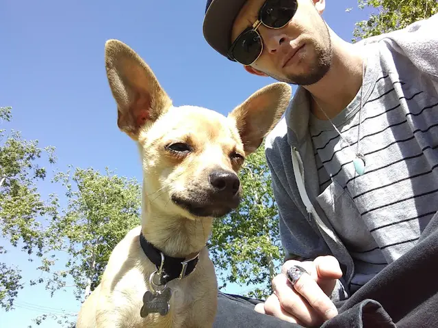 Pet boarding service Feed Barn Costa Mesa