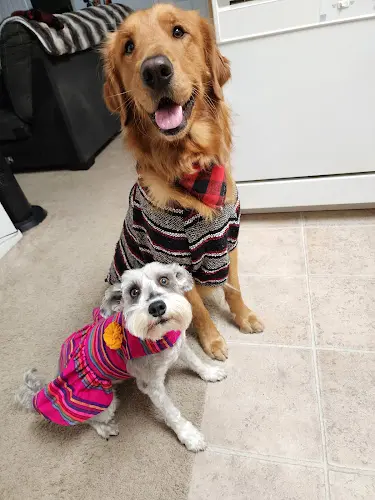 Dog breeder Barking Spot Chula Vista