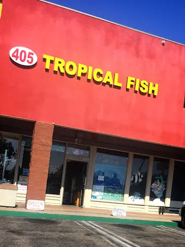 Pet boarding service 405 Tropical Fish Westminster