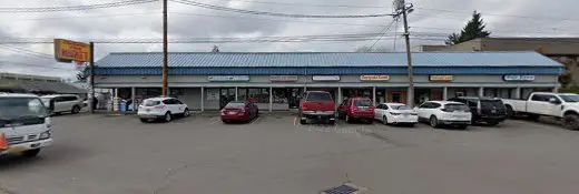 Dog Grooming Petable Pet Grooming Gresham