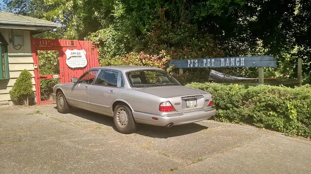 Pet boarding service Pj's Pet Ranch Seattle