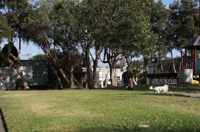 Dog Park Gandara Park Santa Monica