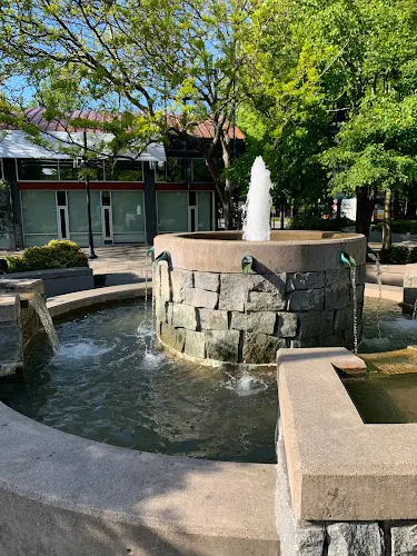 Dog Park Piazza Park Renton